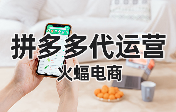 小白拼多多賣(mài)家如何推廣店鋪