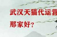武漢天貓代運(yùn)營那家好？