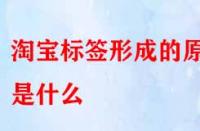 怎樣得到精準流量？淘寶標簽形成的原因是什么？