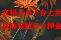 在拼多多平臺上賣化妝品需繳多少押金？