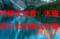 天貓代運營：天貓交易平臺的模式有哪些？