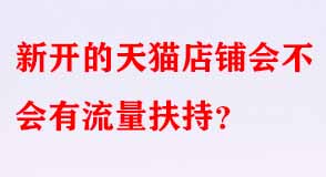 天貓代運(yùn)營(yíng)