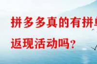 拼多多真的有拼單返現(xiàn)活動嗎？