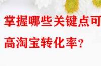掌握哪些關鍵點可提高淘寶轉化率？