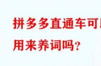拼多多直通車可以用來養(yǎng)詞嗎？