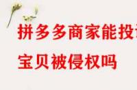 拼多多商家能投訴寶貝被侵權嗎？