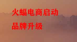 淘寶代運(yùn)營