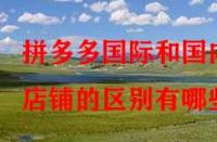拼多多國際和國內店鋪的區別有哪些？