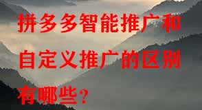 拼多多代運(yùn)營(yíng)