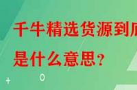 千牛精選貨源到底是什么意思？