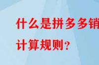 什么是拼多多銷量計算規則？